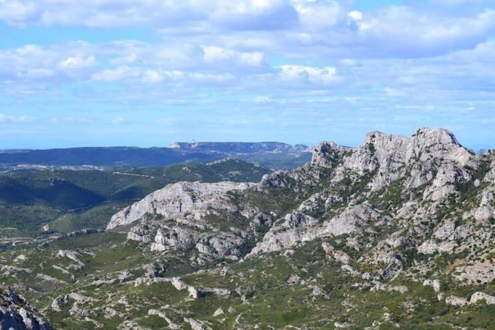 Le Jardin Des Alpilles Villa Eyguières Dış mekan fotoğraf